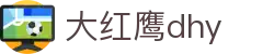 大红鹰dhy(中国)有限公司官网